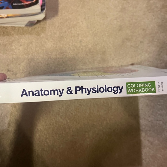 Random Books - Picture 5 of 12